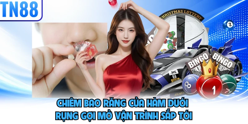 Chiêm bao răng cửa hàm dưới rụng gợi mở vận trình sắp tới