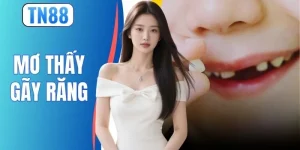 Mơ Thấy Gãy Răng Và 5 Bí Mật Giải Mã Vận May Năm 2026