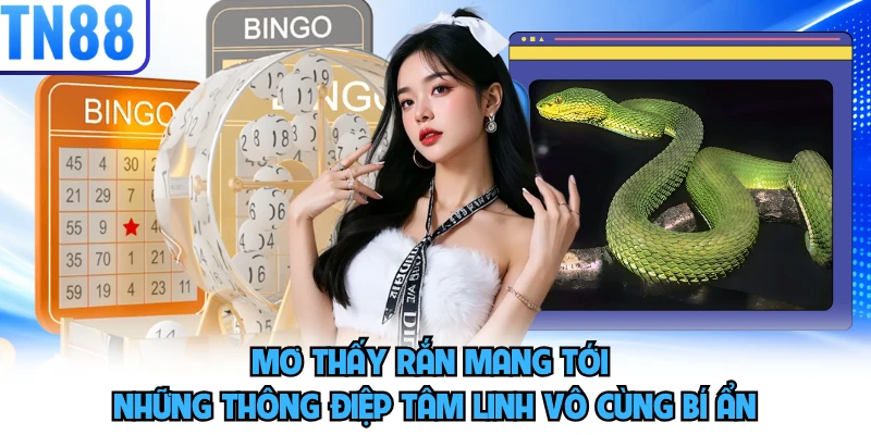 Mơ thấy rắn mang tới những thông điệp tâm linh vô cùng bí ẩn