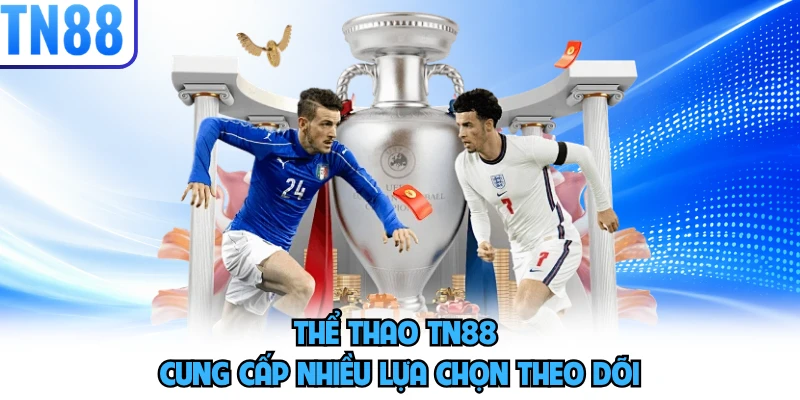 Thể thao TN88 cung cấp nhiều lựa chọn theo dõi