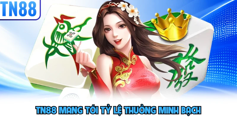 TN88 mang tới tỷ lệ thưởng minh bạch